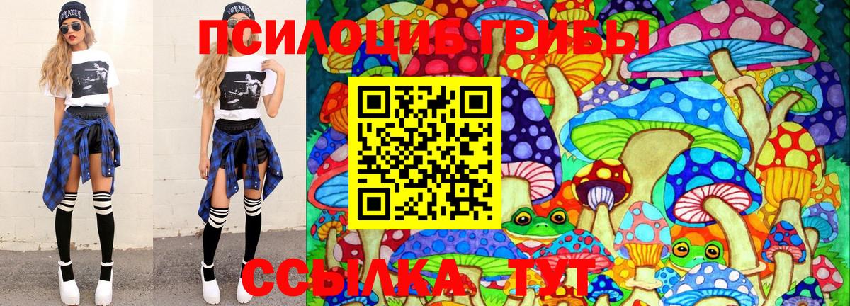 Северск  Псилоцибиновые грибы мухоморы  Вход с VPN 