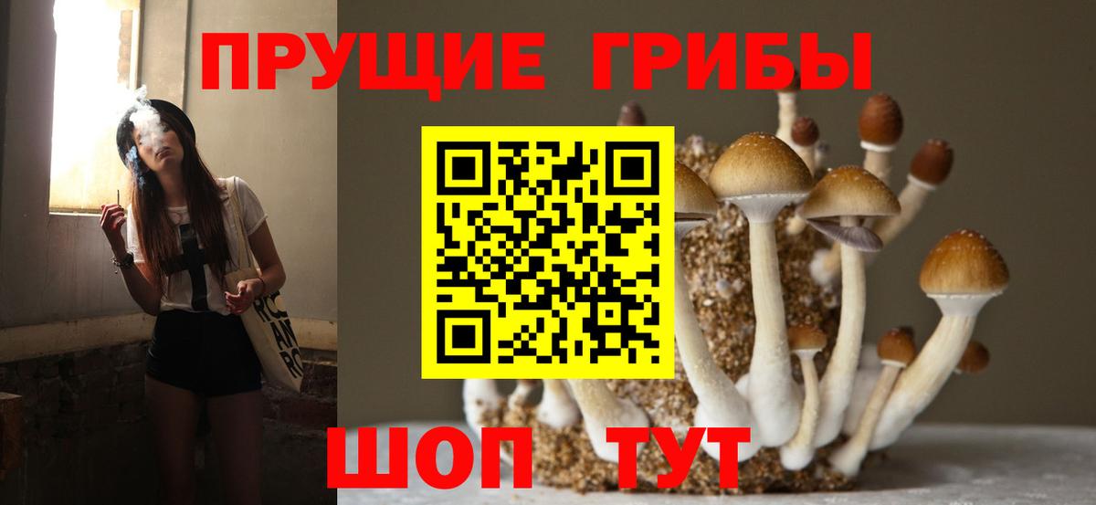 Псилоцибиновые грибы ЛСД Северск